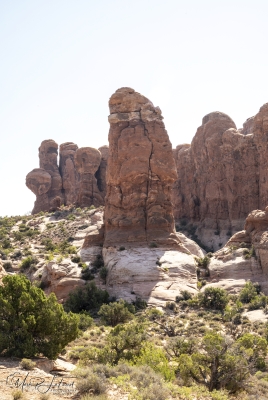 Arches NP Garden of Eden June 2025